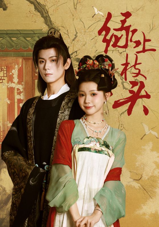 绿上枝头(全集)