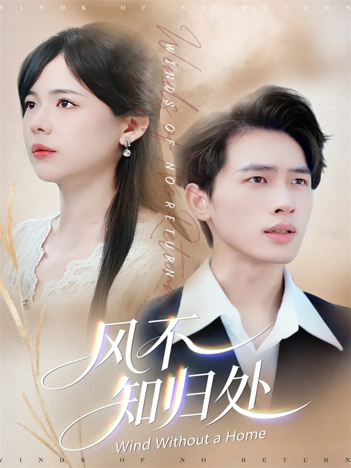 风不知归处(全集)